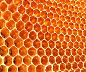 Beeswax absolute
