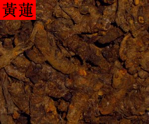 Huang Lian
