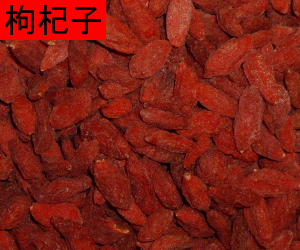 Gou Qi Zi