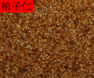 Bai Zi Ren