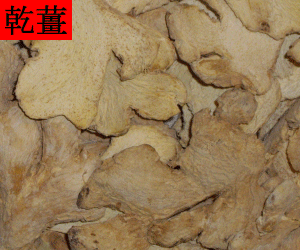 Gan Jiang