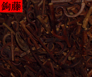Gou Teng