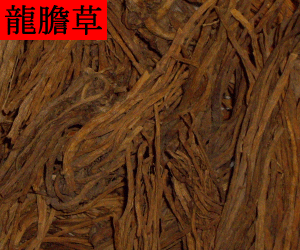 Long Dan Cao