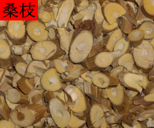 Sang Zhi