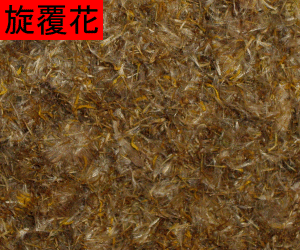 Xuan Fu Hua