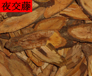 Shou Wu Teng