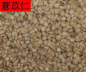 Yi Yi Ren