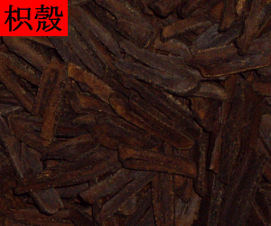 Zhi Ke (Qiao)