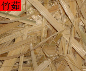 Zhu Ru