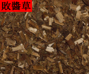 Bai Jiang Cao