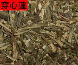 Chuan Xin Lian