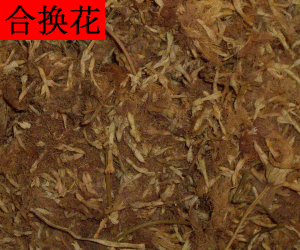 He Huan Hua