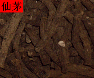 Xian Mao