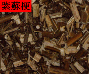 Zi Su Geng