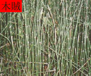 Mu Zei Cao concentrated powder