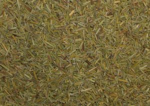 Rosemary