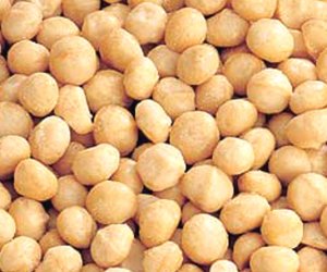 Macadamia nut oil