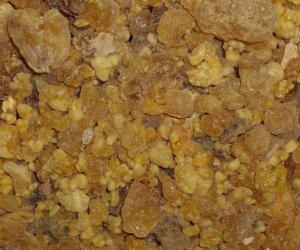 Frankincense (African)