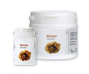 Maitake powder