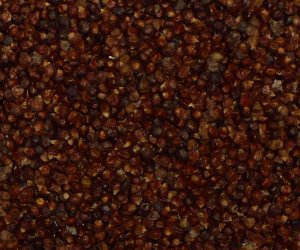 Grains of Paradise