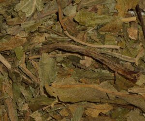 Lobelia herb