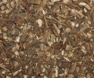 American Mandrake root