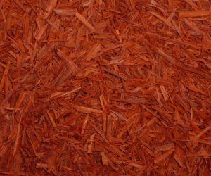 Red Sandalwood