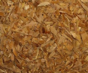 Sandalwood (white)