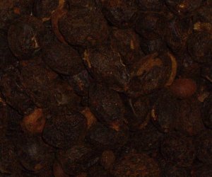 Saw Palmetto berries BHP