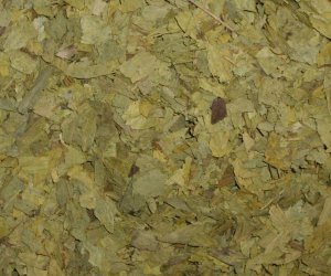 Senna leaves