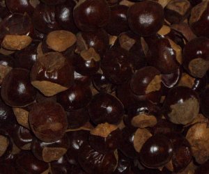 Guarana seed