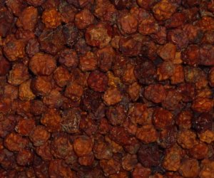 Mountain Ash berries