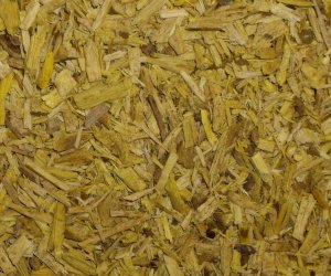 Oregon Grape root
