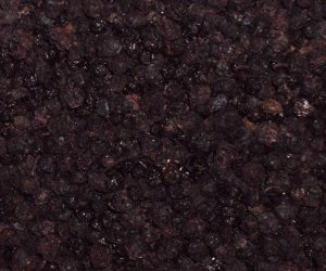 Bilberry fruit