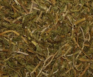 Club Moss