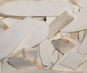 Chinese Wild Yam