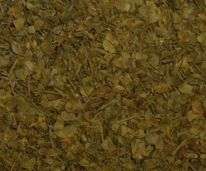 Chaparral leaf
