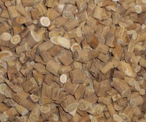 Astragalus root