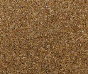 Vetiver root