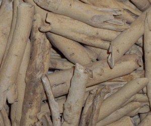 Dittany root bark