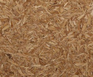Apple wood chips