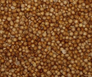 Coriander seed - whole
