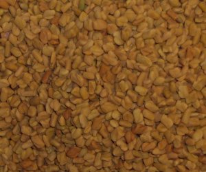 Fenugreek seed