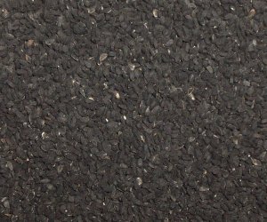 Nigella seed