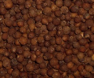 Allspice fruit