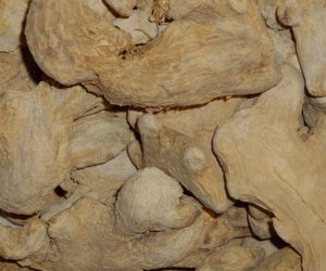 Ginger root