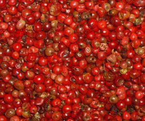 Pink peppercorns