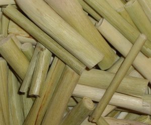 Lemongrass Stalk